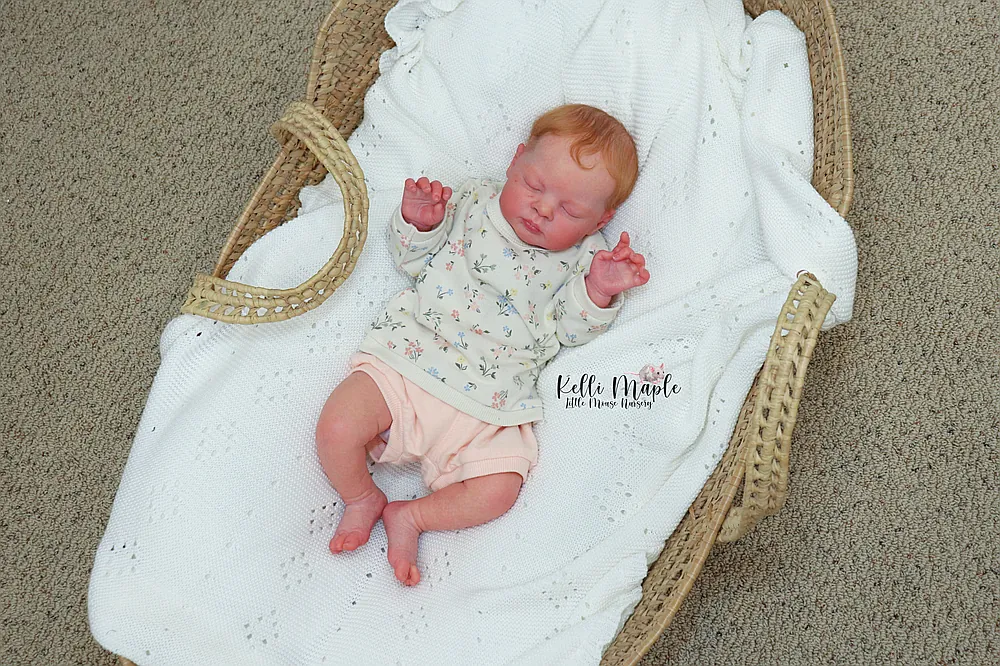 Esenia newborn reborn doll nursery display setup ideas